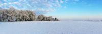 Winterlandschaft Halsbrücke